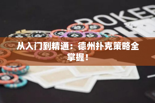 從入門到精通：德州撲克策略全掌握！