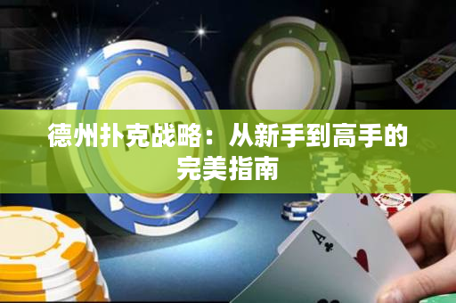 德州撲克戰(zhàn)略：從新手到高手的完美指南