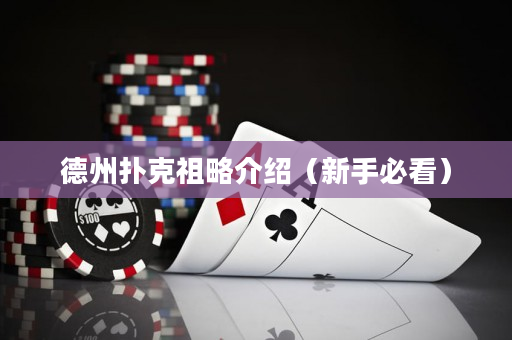 德州撲克祖略介紹（新手必看）