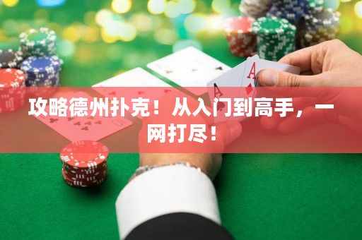 攻略德州撲克！從入門到高手，一網打盡！