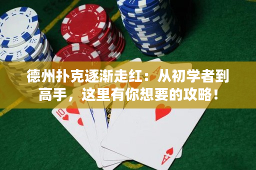 德州撲克逐漸走紅：從初學者到高手，這里有你想要的攻略！