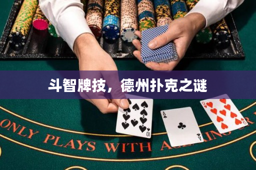 斗智牌技，德州撲克之謎