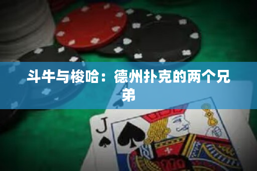 斗牛與梭哈：德州撲克的兩個(gè)兄弟