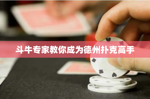 斗牛專家教你成為德州撲克高手