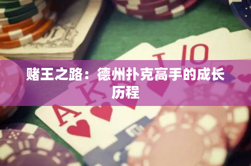 賭王之路：德州撲克高手的成長歷程