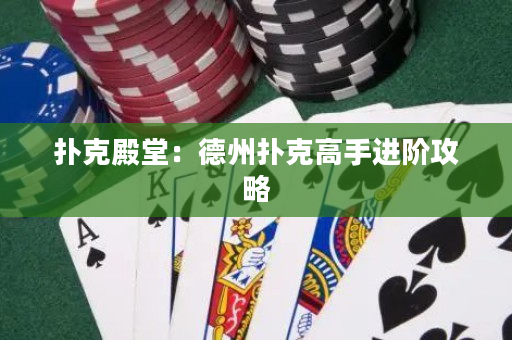 撲克殿堂：德州撲克高手進階攻略