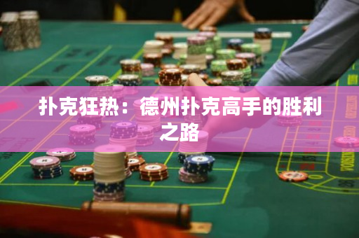 撲克狂熱：德州撲克高手的勝利之路