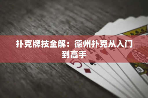 撲克牌技全解：德州撲克從入門到高手