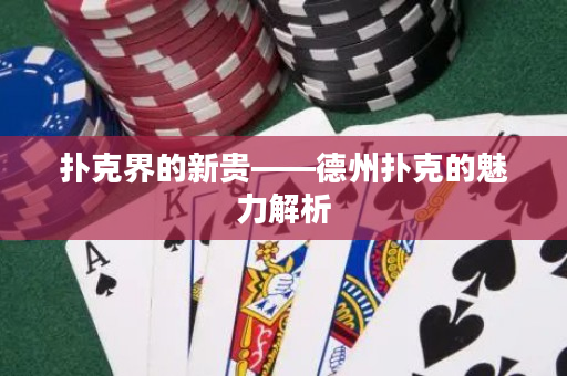 撲克界的新貴——德州撲克的魅力解析