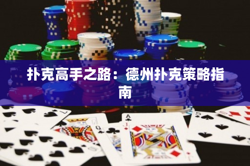 撲克高手之路：德州撲克策略指南