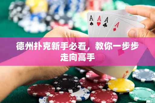 德州撲克新手必看，教你一步步走向高手
