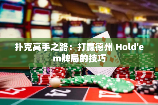 撲克高手之路：打贏德州 Hold'em牌局的技巧