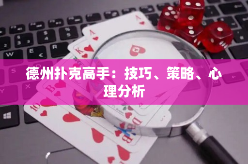 德州撲克高手：技巧、策略、心理分析