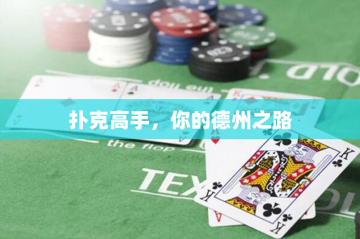 撲克高手，你的德州之路