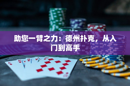 助您一臂之力：德州撲克，從入門到高手