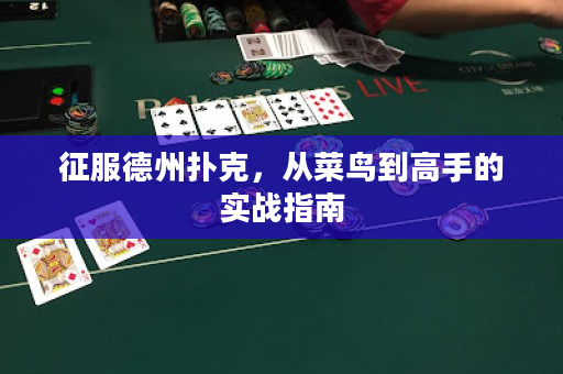 征服德州撲克，從菜鳥到高手的實戰指南