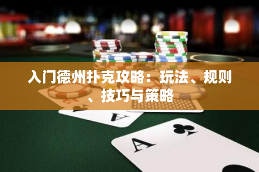 入門德州撲克攻略：玩法、規則、技巧與策略