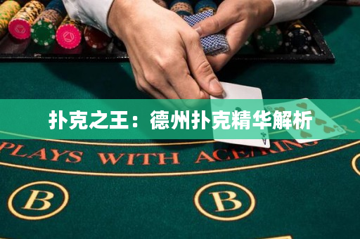 撲克之王：德州撲克精華解析