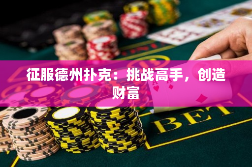 征服德州撲克：挑戰(zhàn)高手，創(chuàng)造財(cái)富