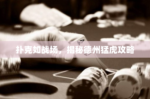 撲克如戰(zhàn)場，揭秘德州猛虎攻略