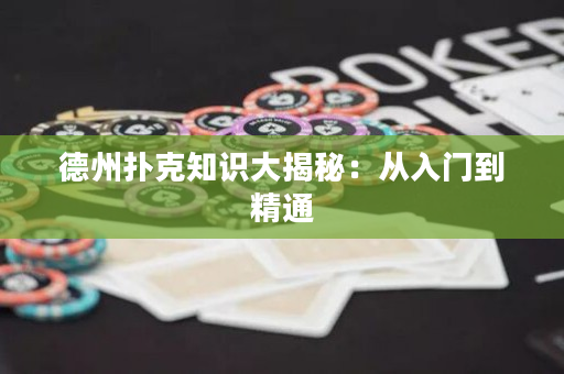德州撲克知識大揭秘：從入門到精通