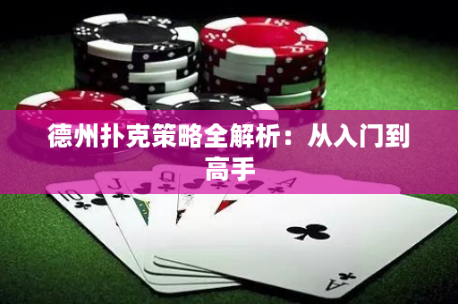 德州撲克策略全解析：從入門到高手