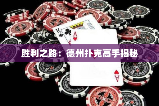 勝利之路：德州撲克高手揭秘