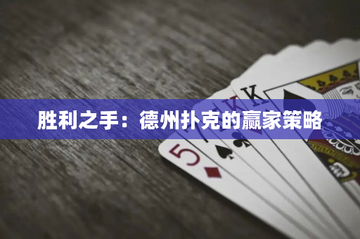 勝利之手：德州撲克的贏家策略