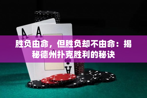 勝負由命，但勝負卻不由命：揭秘德州撲克勝利的秘訣