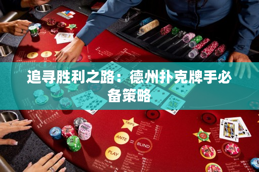 追尋勝利之路：德州撲克牌手必備策略