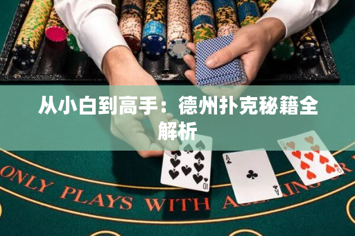從小白到高手：德州撲克秘籍全解析