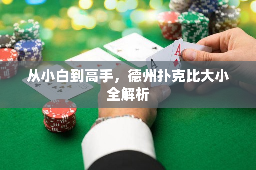 從小白到高手，德州撲克比大小全解析