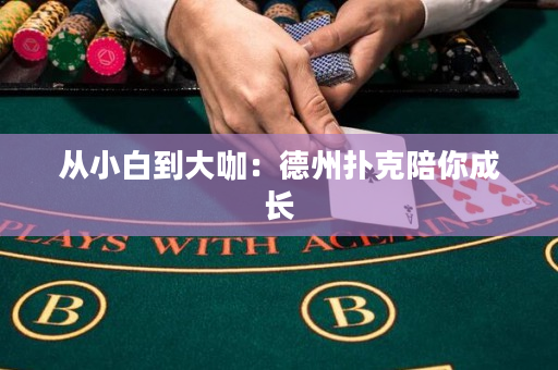 從小白到大咖：德州撲克陪你成長