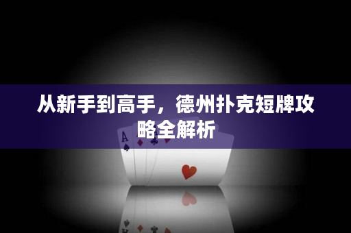 從新手到高手，德州撲克短牌攻略全解析