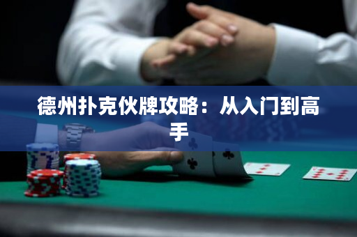 德州撲克伙牌攻略：從入門到高手