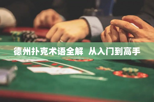 德州撲克術語全解  從入門到高手