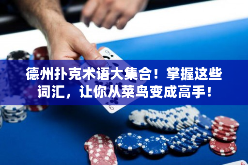 德州撲克術語大集合！掌握這些詞匯，讓你從菜鳥變成高手！