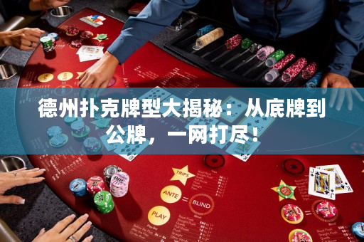 德州撲克牌型大揭秘：從底牌到公牌，一網(wǎng)打盡！