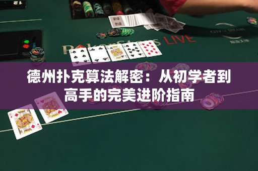 德州撲克算法解密：從初學(xué)者到高手的完美進(jìn)階指南