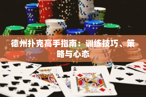 德州撲克高手指南：訓(xùn)練技巧、策略與心態(tài)