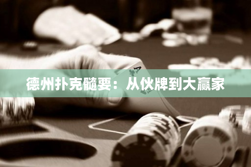 德州撲克髓要：從伙牌到大贏家