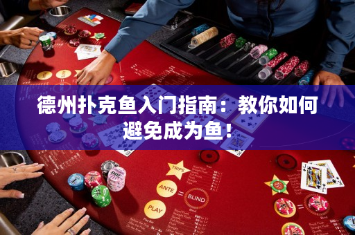 德州撲克魚入門指南：教你如何避免成為魚！