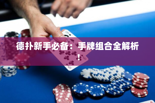 德?lián)湫率直貍洌菏峙平M合全解析！