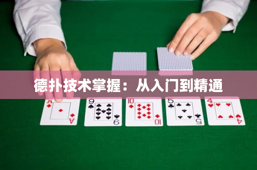 德?lián)浼夹g(shù)掌握：從入門到精通