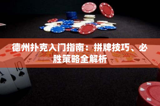 德州撲克入門指南：拼牌技巧、必勝策略全解析