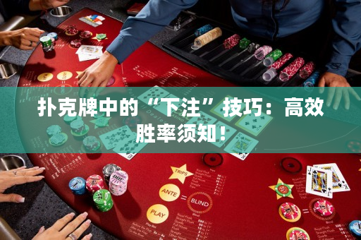 撲克牌中的“下注”技巧：高效勝率須知！