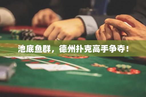 池底魚群，德州撲克高手爭(zhēng)奪！