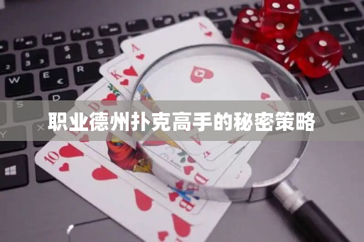 職業德州撲克高手的秘密策略