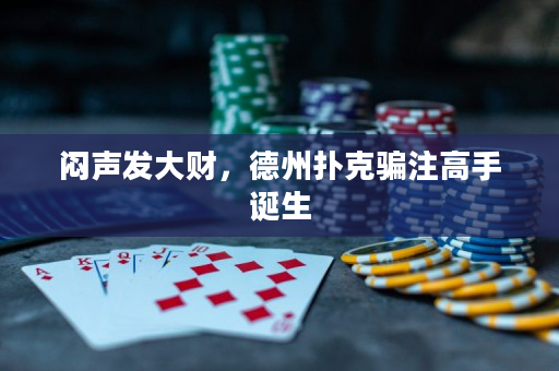 悶聲發大財，德州撲克騙注高手誕生