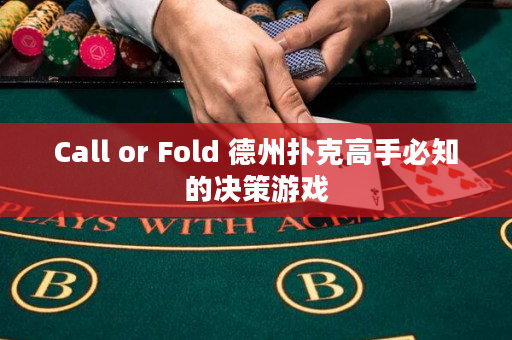 Call or Fold 德州撲克高手必知的決策游戲
